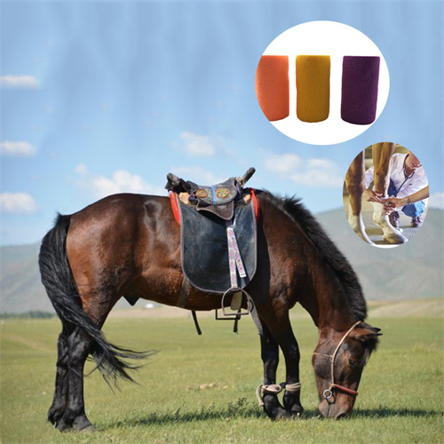 kinesiology tape for horses