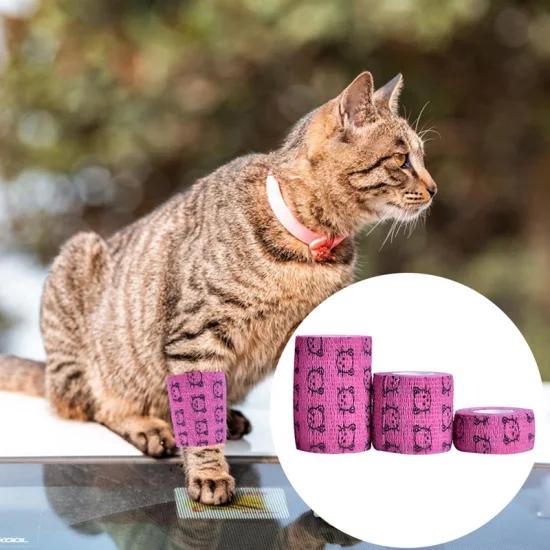 bandage coheisve pour chats