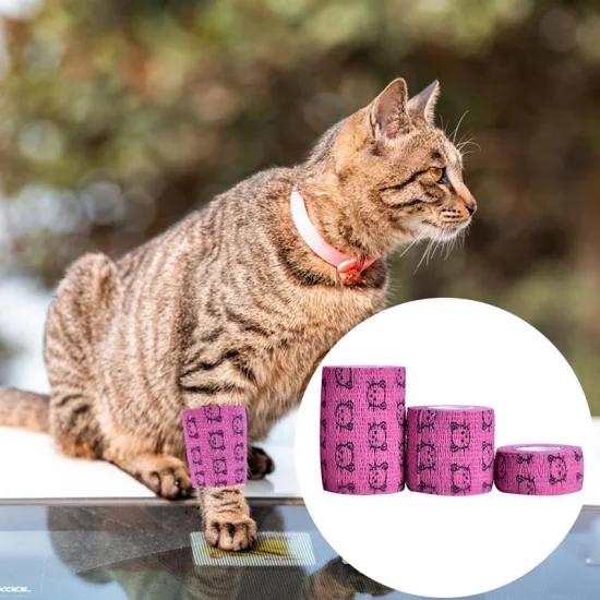 Kohäsivbandage für Katzen