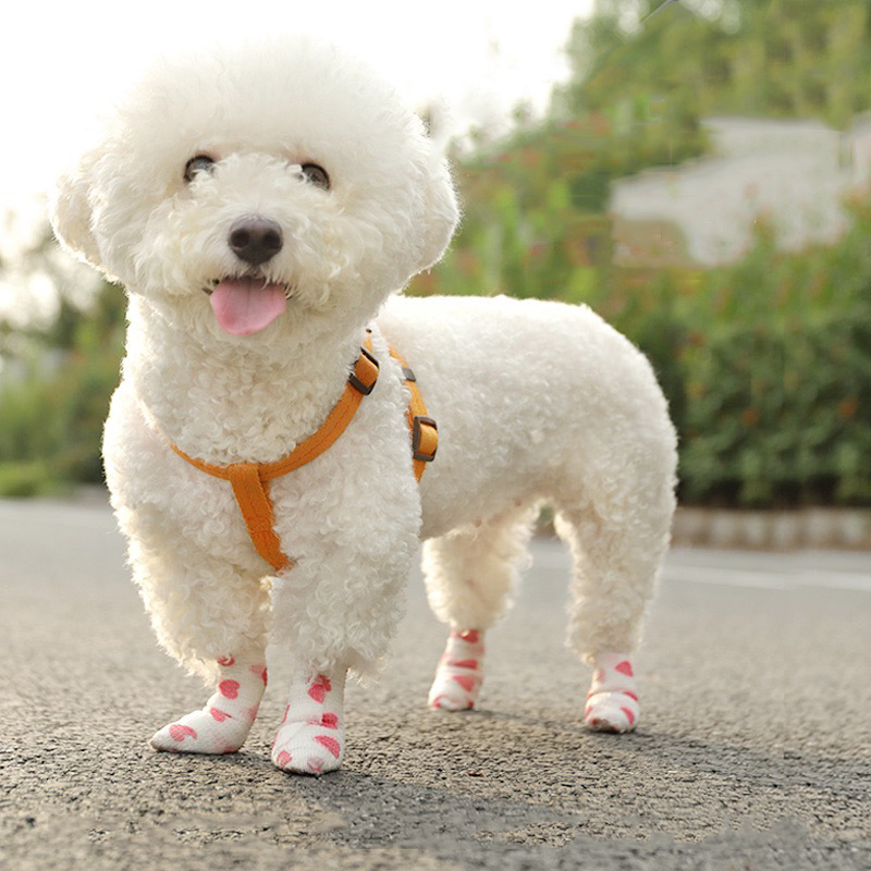 Alternativa a los zapatos para mascotas, mantiene los pies limpios.