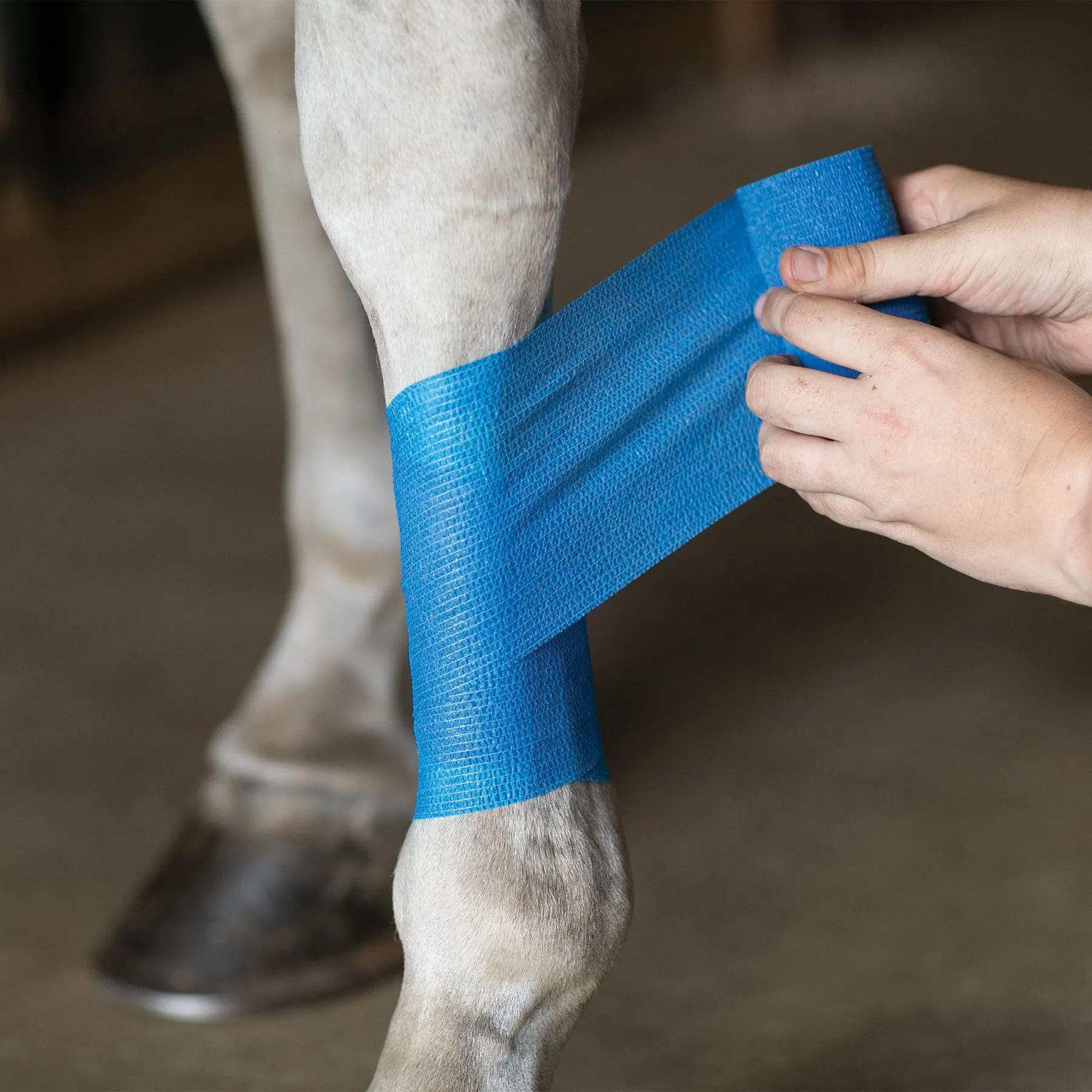 bandage pour chevaux
