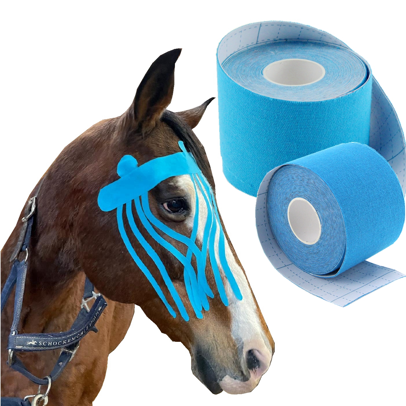 Kinesiologisches Tape für Pferde