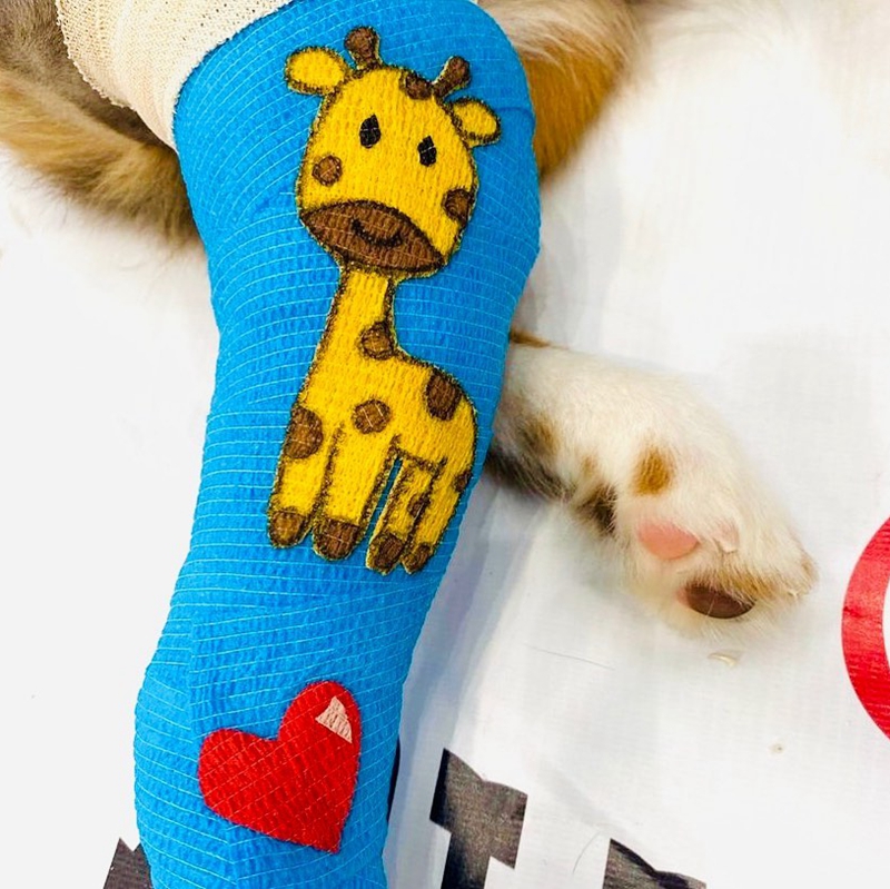 Un vendaje veterinario con forma de jirafa en las patas de un perro.