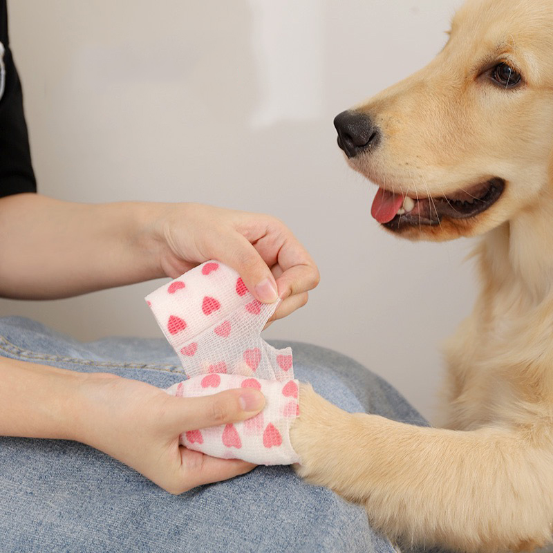 bandage cohésif qui adhère à lui-même pour chien