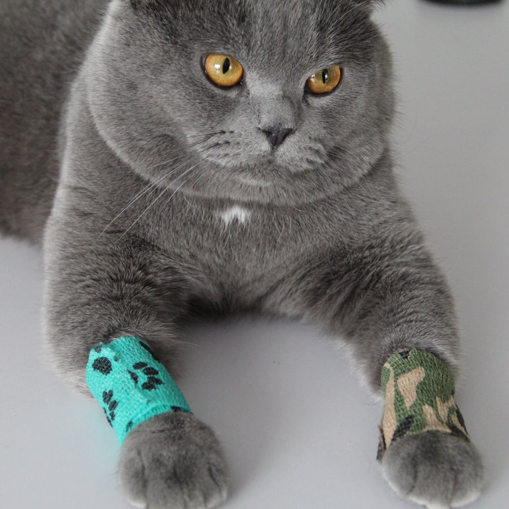 Bandage pour chat vert